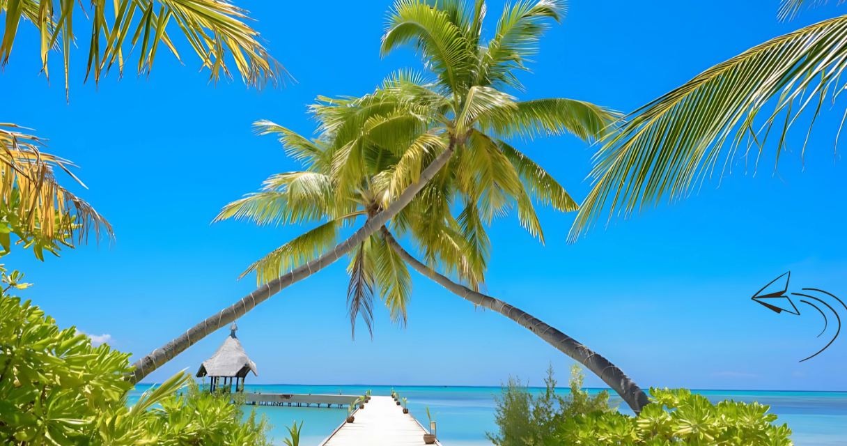 Two leaning palm trees forming an arch over a wooden boardwalk leading to a thatched-roof gazebo over turquoise waters, surrounded by lush green foliage under a bright blue sky. To show article help people Save Money to visit this scenic destination.